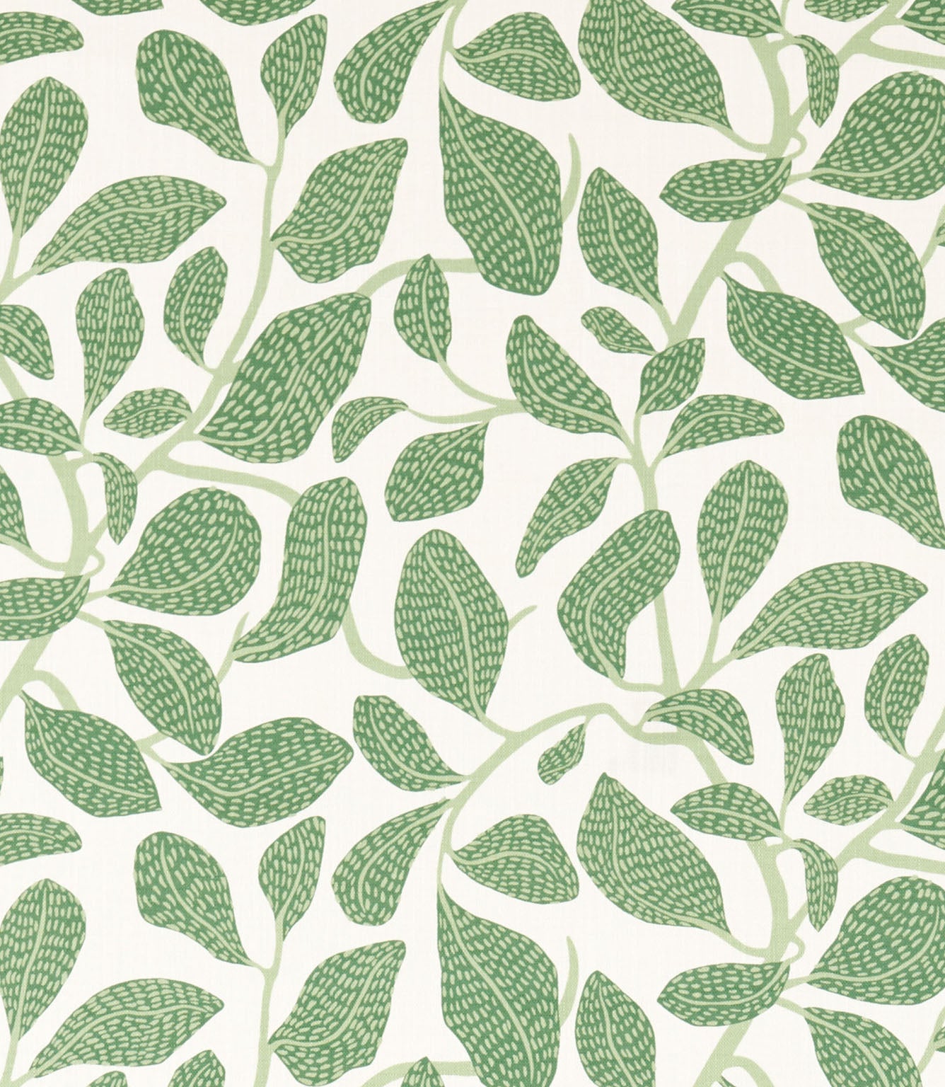 Sweet Bay Print Fabric / Forest