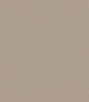 Oxford FR Fabric / Natural