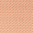Raft Stripe Print Fabric / Rust