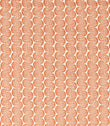 Raft Stripe Print Fabric / Rust