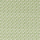 Raft Stripe Print Fabric / Pine