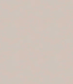 Loomspun Fabric / Ivory