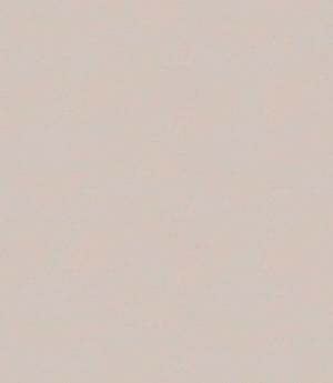 Loomspun Fabric / Ivory