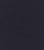 Harrow Chenille FR Fabric / Indigo