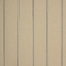 Farmhouse Stripe Fabric / Blue