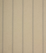 Farmhouse Stripe Fabric / Blue