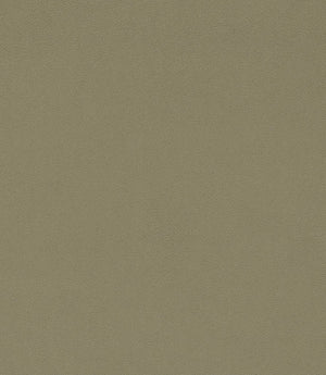 Dorton Fabric / Putty