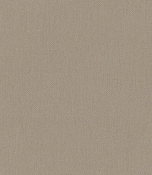 Oxford Fabric / Stone