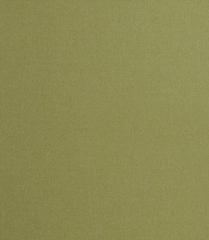 Tundra FR Fabric / Pistachio