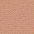 Plains / Semi Plains - Summit