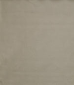 Burghley FR Vinyl Leather Fabric / Latte - Just Fabrics