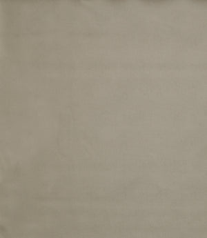 Burghley FR Vinyl Leather Fabric / Latte