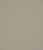 Laundered Linen Fabric / Flax - Just Fabrics