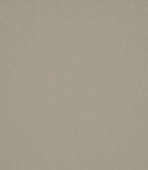 Laundered Linen Fabric / Flax