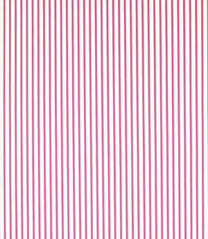 Ribbon Stripe Fabric / Spinel