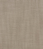 Uni Voile Fabric / Latte - Just Fabrics