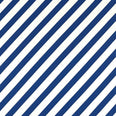Paper Straw Stripe Fabric / Lapis