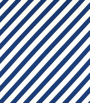 Paper Straw Stripe Fabric / Lapis
