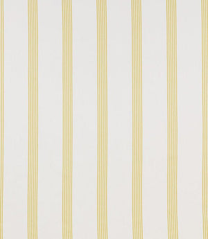 Newport Fabric / Citrus