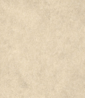 Albury Faux Leather FR Fabric / Oryx