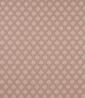 Segoa Fabric / Blush