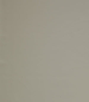 Burghley FR Vinyl Leather Fabric / Putty