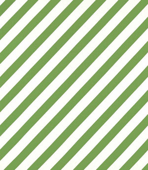Paper Straw Stripe Fabric / Peridot