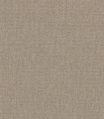 Jumbo Fabric / Limewash - Just Fabrics