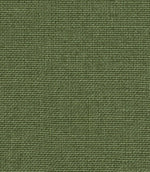 Monmouth FR Fabric / Kiwi - Just Fabrics