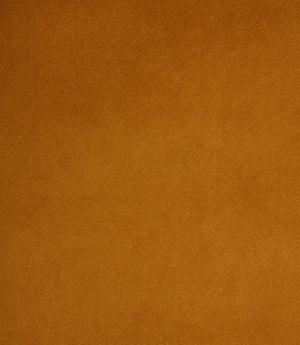 Amalfi Velvet FR  Fabric / Gold
