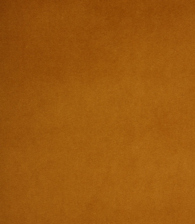 Amalfi Velvet FR Fabric / Gold - Just Fabrics