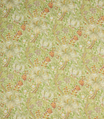 Golden Lily Outdoor Fabric / Willow - Just Fabrics