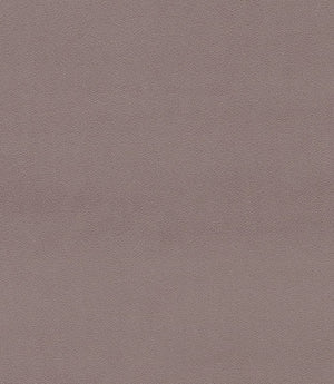 Dorton Fabric / Heather