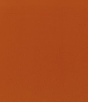 Rio FR Fabric / Pumpkin