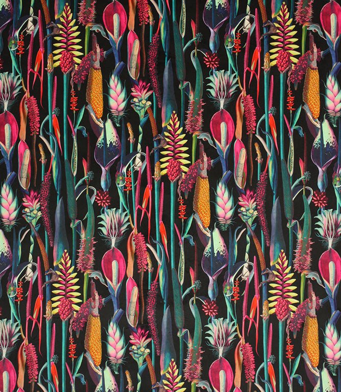 Exotic Velvet Fabric / Black - Just Fabrics