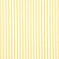 Ribbon Stripe Fabric / Citrine