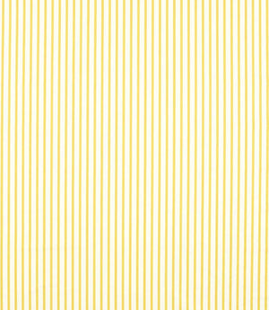 Ribbon Stripe Fabric / Citrine