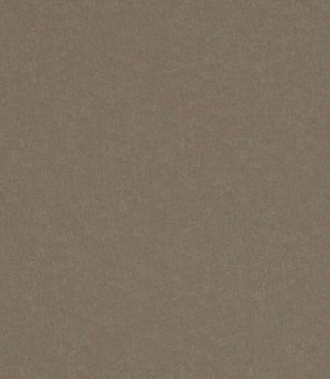Albury Faux Leather FR Fabric / Taupe