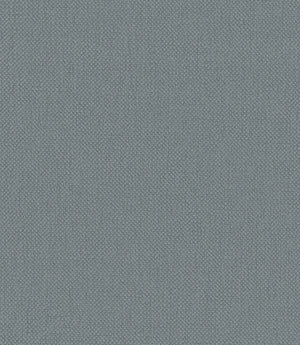 Oxford Fabric / Horizon