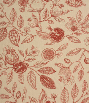 Fruit Harvest Fabric / Red