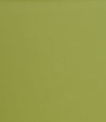 Burghley FR Vinyl Leather Fabric / Lime - Just Fabrics