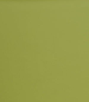 Burghley FR Vinyl Leather Fabric / Lime