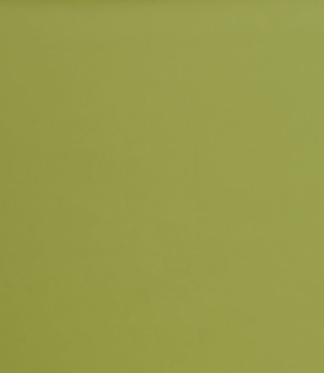 Burghley FR Vinyl Leather Fabric / Lime - Just Fabrics