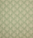 Contemporary - Great Oak