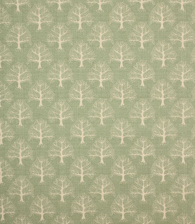 Contemporary - Great Oak