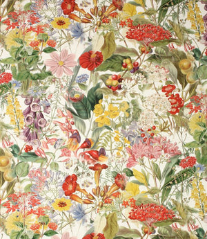 Chelsea Fabric / Multi