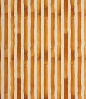 Hastings Outdoor Fabric / Peanut