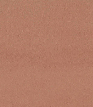 Dorton Fabric / Auburn