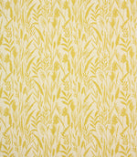 Traditional - Wild Grasses