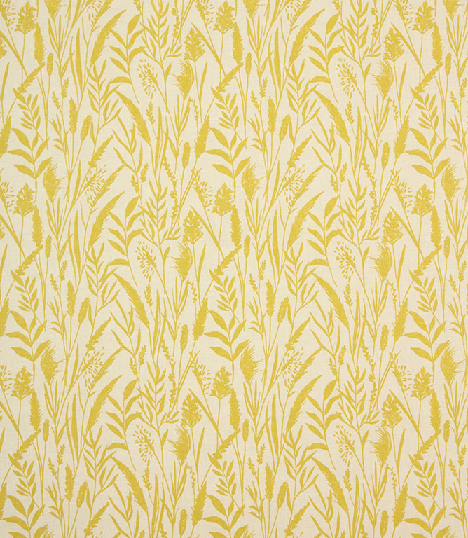 Traditional - Wild Grasses